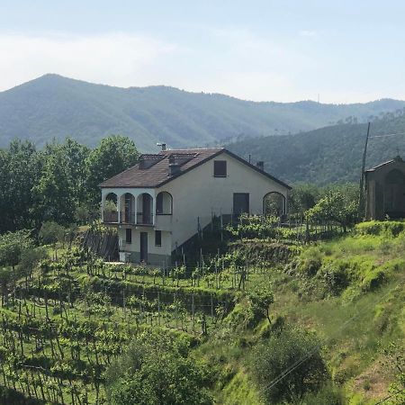 Villa Elena Mezzanego Экстерьер фото
