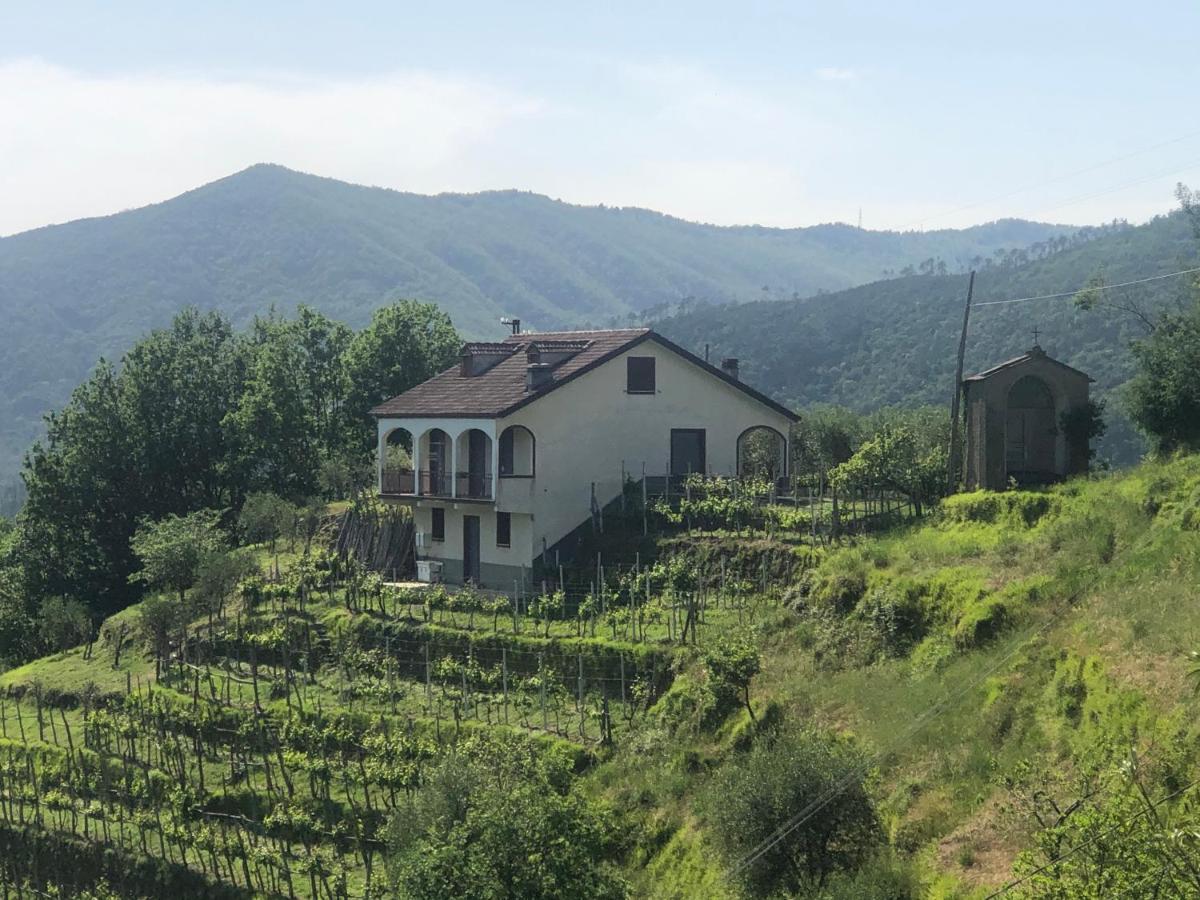 Villa Elena Mezzanego Экстерьер фото