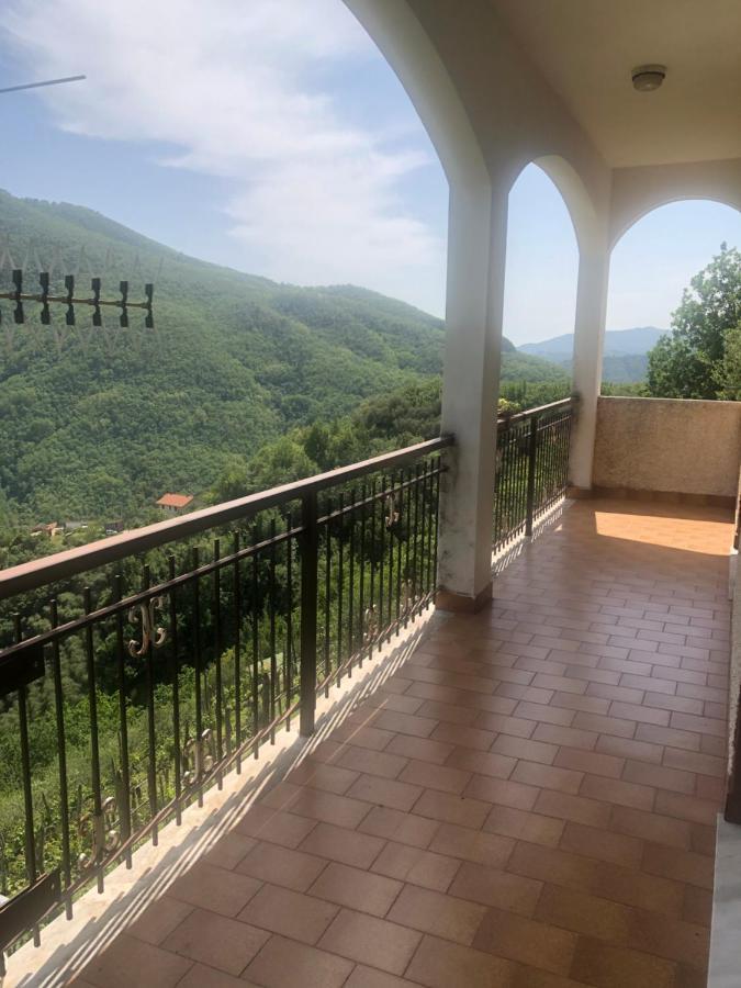 Villa Elena Mezzanego Экстерьер фото