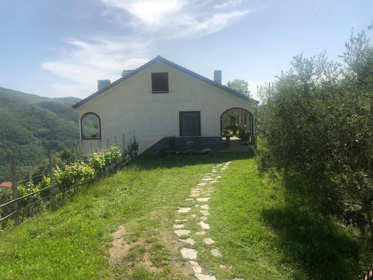 Villa Elena Mezzanego Экстерьер фото