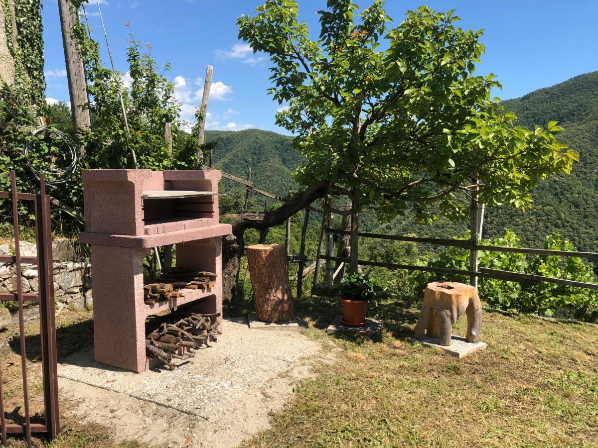 Villa Elena Mezzanego Экстерьер фото