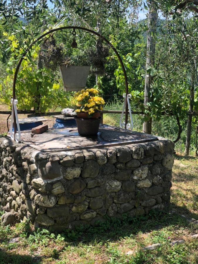 Villa Elena Mezzanego Экстерьер фото