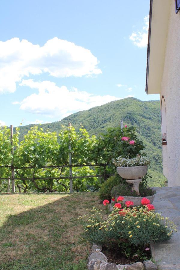 Villa Elena Mezzanego Экстерьер фото