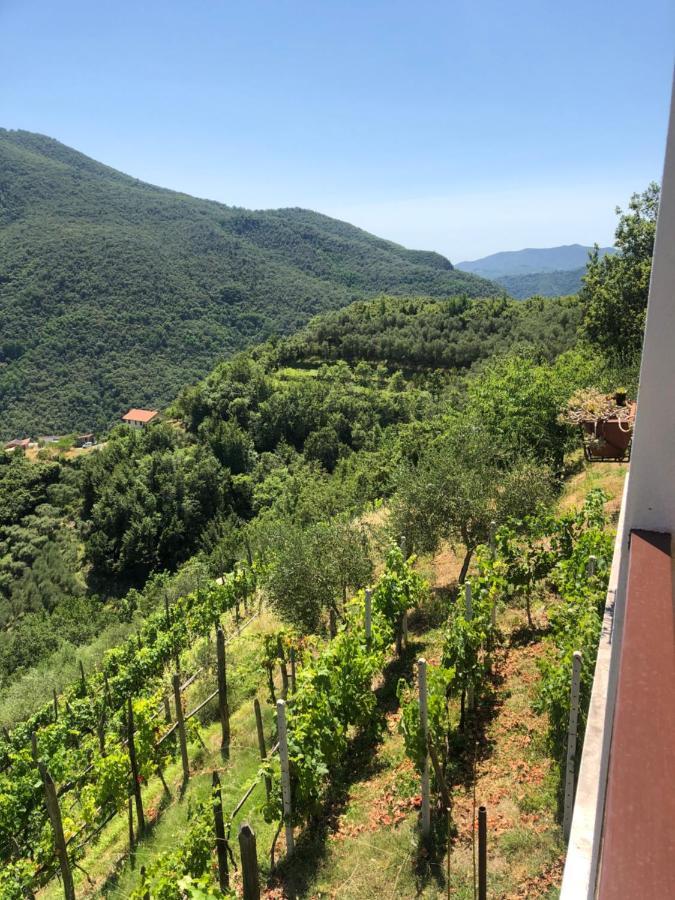 Villa Elena Mezzanego Экстерьер фото